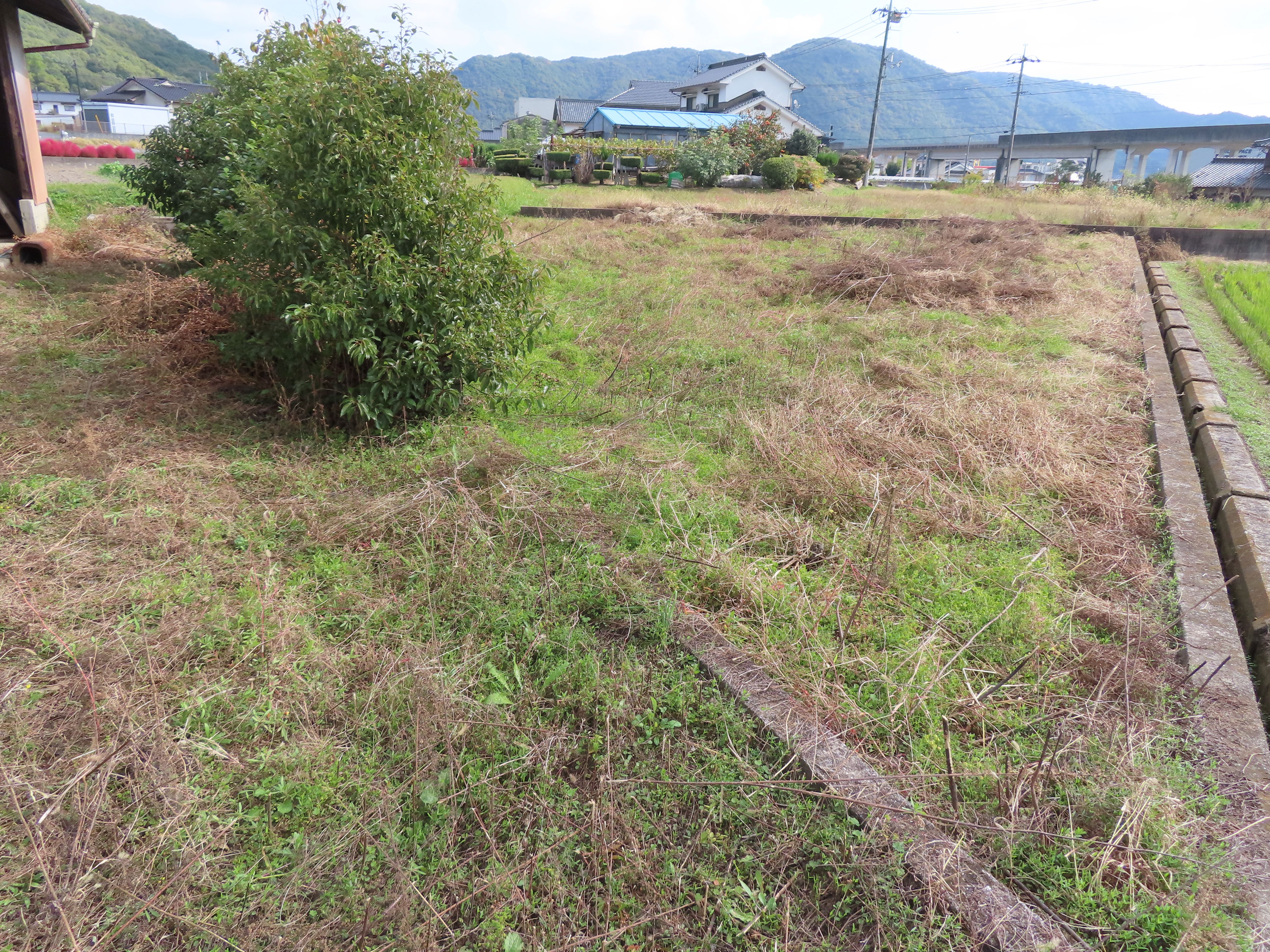 東三成1512番地1（登録日：R7.11.11）